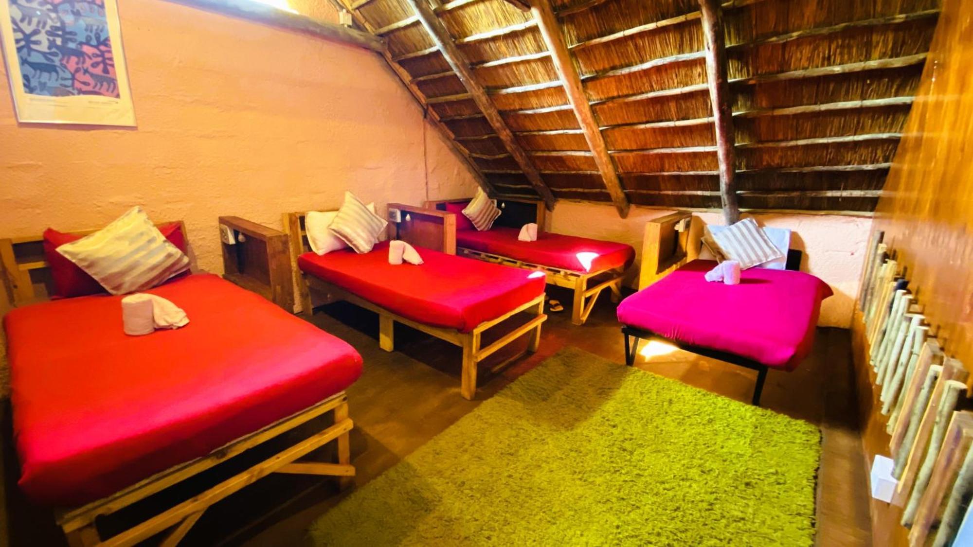 Elephant Trail Guesthouse And Backpackers Kasane Cameră foto